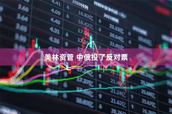 美林资管 中俄投了反对票