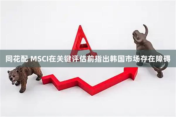 同花配 MSCI在关键评估前指出韩国市场存在障碍